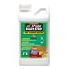 Ready-strip 16oz. High Speed Safer Paint & Varnish Remover HS16