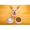 ExactMade - Clear Pet Bowl Mat, USA Made, Safe, Waterproof,