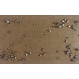 Natural Clothes Moth Pheromone Sticky Trap re-fill pack of 2