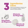 Mega Magnesio Forte | Mezcla de Magnesios Premium | Gluconato