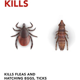 Raid Flea Killer Carpet Room Spray, 16 OZ