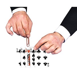 WMU Foxy Lady Magic Trick Toy