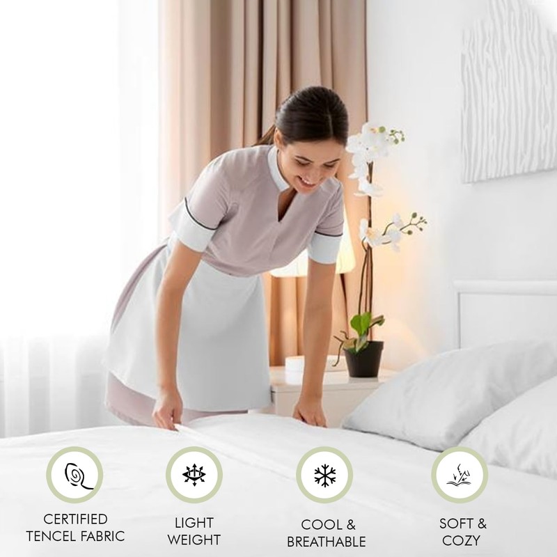LINENWALAS 100% Eucalyptus Silk Pillow Cases Pack of 2 Pieces
