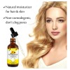 Repara El Cabello Aceite Semillas Girasol Orzuela Quebradizo