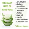 Amara Organics Aloe Vera Gel from Organic Cold Pressed Aloe,
