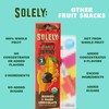 SOLELY - Organic Mango Chocolate Drizzled Fruit Jerky - 12