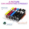 250XL 251XL Ink Cartridges - Replacement for Canon PGI-250XL BK