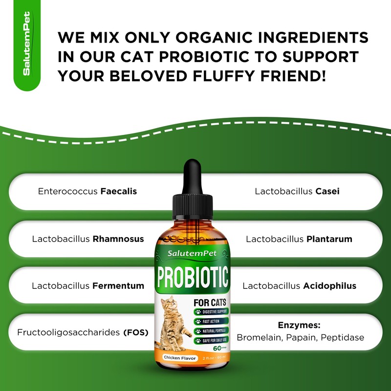 Probiotics for Cats for Digestive Support – Cat Probiotics for