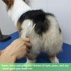 HASHIMOTO Curved Scissors for Dog Grooming, Dog Grooming Scissors Curved,