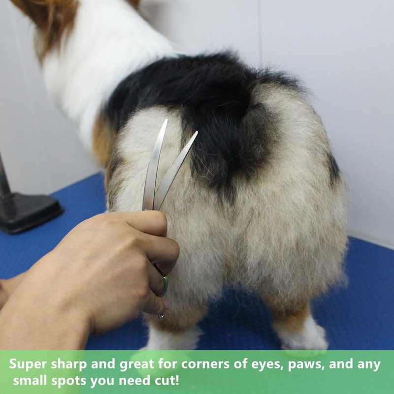 HASHIMOTO Curved Scissors for Dog Grooming, Dog Grooming Scissors Curved,
