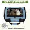 GAPZER Cat Carrier 18 x 11 x 11 Top Loading