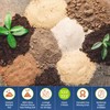 California Super Soil Premium 100% Organic Super Soil - 18+