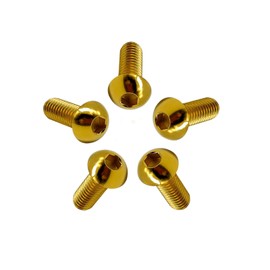 RISON Pack of 5 Titanium Rounded Head Screws with Hexagon Socket M6 x 10 mm, Full Thread/Partial Thread Half Round Head Screw Made of Titanium GR5, Flat Head Screw Lens Screw Button Screw Round Head