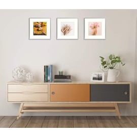 Golden State Art, 12x12 Aluminum Frame for 8x8 Photo Display - Metal Wall Mounting Square Photo Frame Collection with Ivory Color Mat and Real Glass (Silver, 4-Pack)