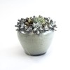 WGVI WGV Ceramic Bird Decor Bowl Vase, Pot Width 8.5”,