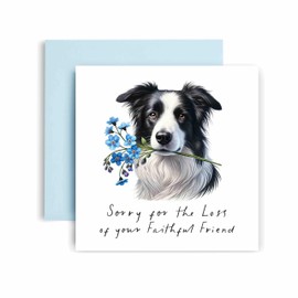 Huxters Sorry for Loss of Dog – Border Collie - Condolences to Dog Mum and Dog Dad – Dog Best Faithful Friend Deepest Sympathy (Border Collie)