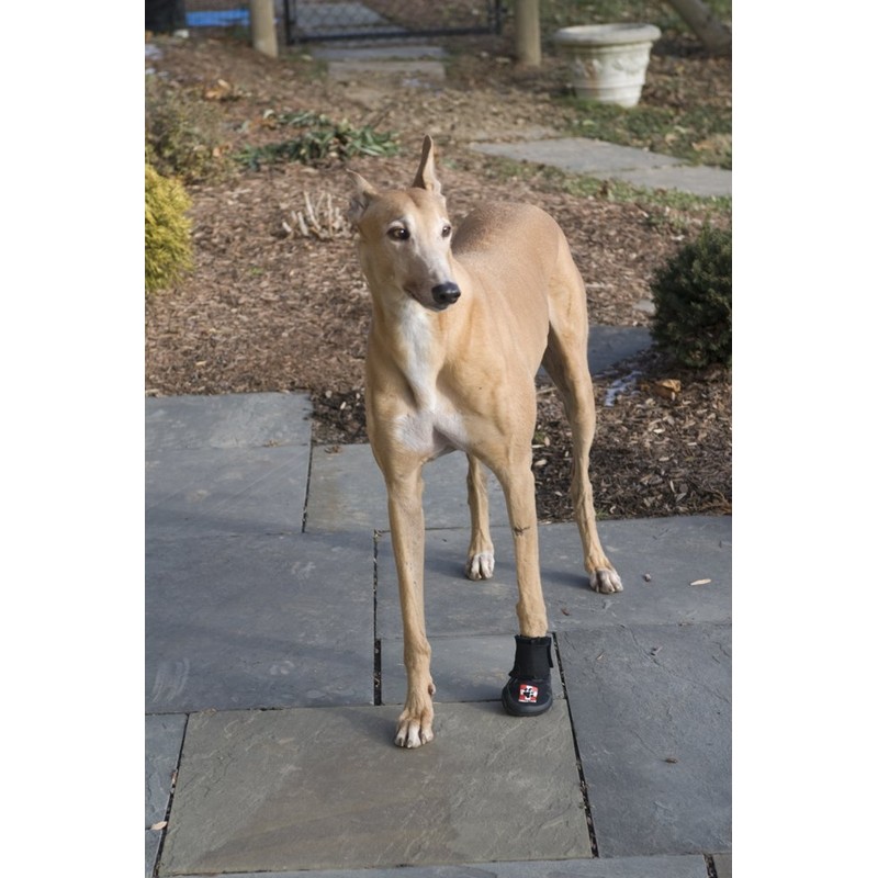 Westcoast Thera-Paw Padded - Size TF, Supportive & Protective Boot