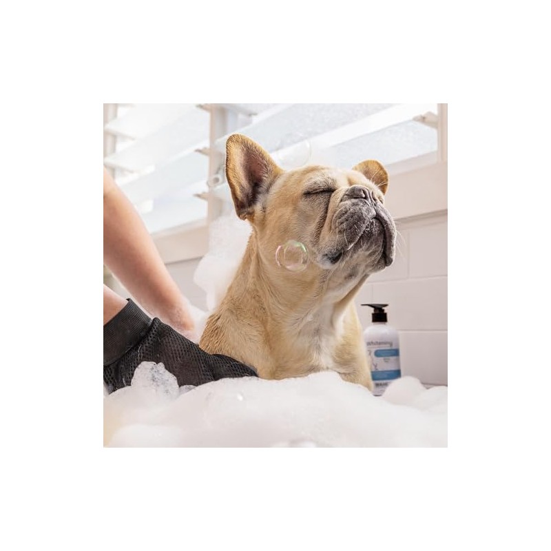 Wahl Whitening Shampoo Concentrate - 300ml