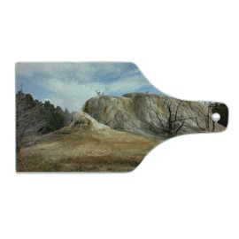 Ambesonne Yellowstone Cutting Board, Big Rock in Orange Spring Mound Yellowstone Forest Cloudy Sky Scenery Nature, Decorative Tempered Glass Cutting and Serving Board, Wine Bottle Shape, Beige Blue