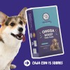 Omega Boost Paste Treats Suplemento Para Perros