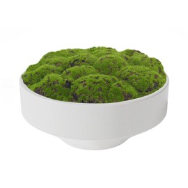 NAHARO New Moss Bowl, Handmade Ceramic Bowl. 11" Artificial Moss Bowl Centerpiece for Home Decoration, Living Room, Office