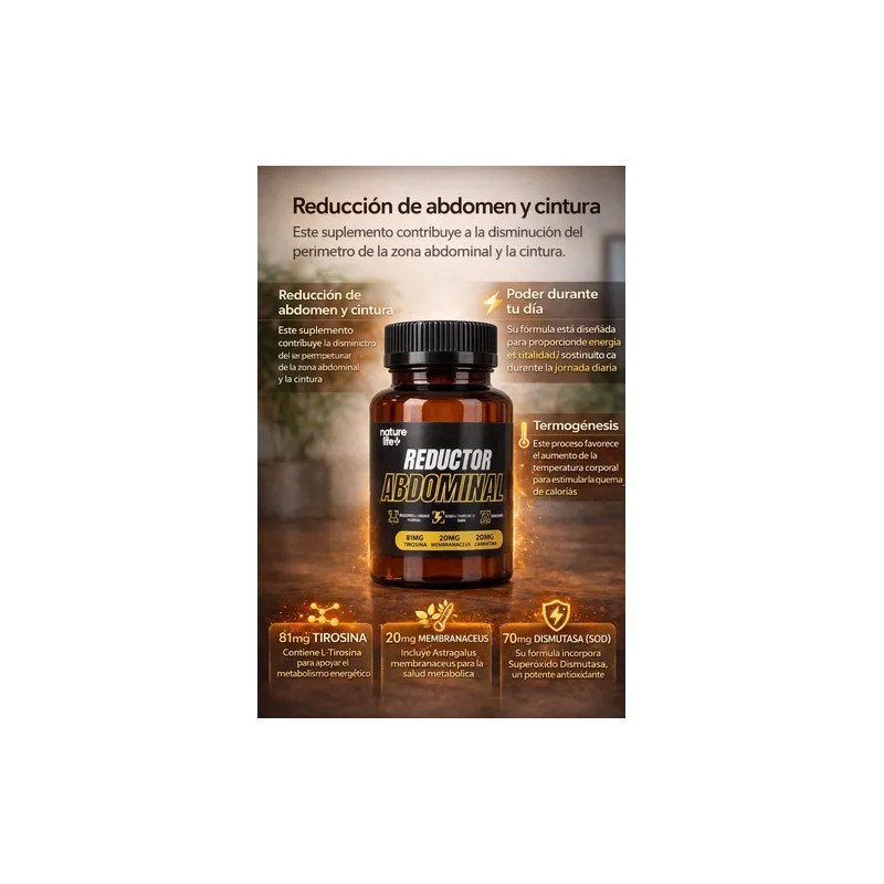 Grasa Abdominal Reductor Abdominal 60 Cáp Multivitamin