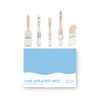 Zibra 5-Piece DIY Paint Brush Set with Detail and 2-inch