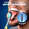 Cepillo Dientes Oral Criss Cross Medio Paquete Pzas Cerdas Inteligentes