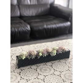 Hacocoro HH-C96-BK Rectangular Flower Vase, Black