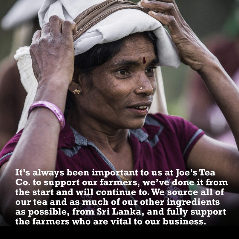 Joe's Tea Co. Proper Peppermint Matchbox (50x) - Organic