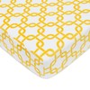 American Baby Company Printed Heavenly Soft Chenille Fitted Crib Sheet,