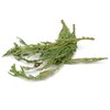 Starwest Botanicals CEDAR TIPS WESTERN RED WC