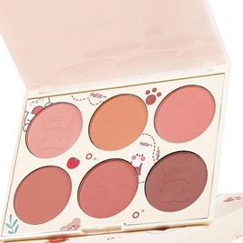 Pongnas Paleta de Rubor Mate de 6 Colores, Resaltado de Contorno, Maquillaje de Mejillas Radiante para Mujeres (Paleta de rubores de 6 colores)