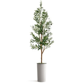 Artificial Tree in Modern Minimalist White Textured Planter, Fake Olive Silk Tree for Indoor and Outdoor Home Decoration - 68" Overall Tall (Plant Pot Plus Tree)
