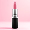 Anjumain Mac Frost Lipstick Bumshell × 3g × 1 / 맥 프로스트 립스틱 범쉘 × 3g × 1개