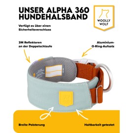Woolly Wolf Alpha 360 Collar for Large Dogs Size L Glacier Green - Sustainable and Comfortable, Reflective for Increased Safety in Poor Vision