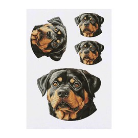 4 x 'Rottweiler Dog Portrait' Temporary Tattoos - Water Resistant, Skin-Safe, Non-Toxic Transfers, Mixed Sizes (TO00085740)