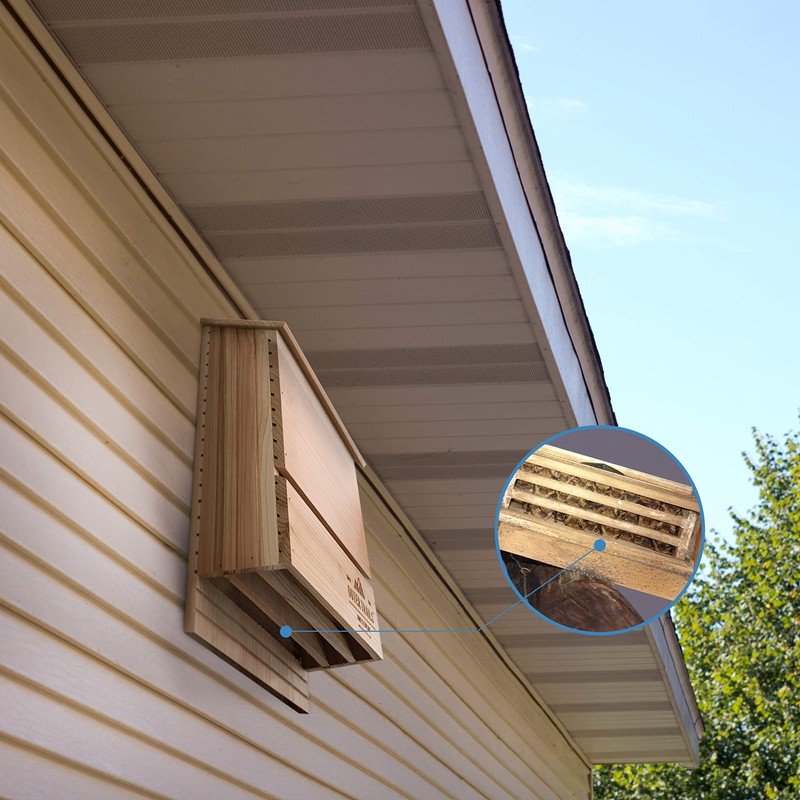 Outer Trails Bat House Outdoor Bat Habitat, Natural Cedar Wood,