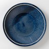 Minorutouki Mino Ware Albee, 220 Plates, Navy