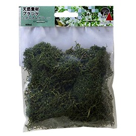 KATO 24-333 Diorama Products, Natural Plants, Medium Green