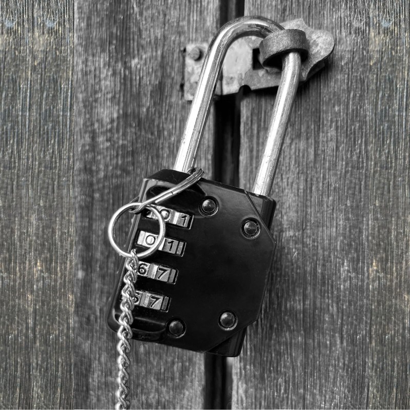 Diompirux Set of 2 Combination Lock with Shackle Long, 4
