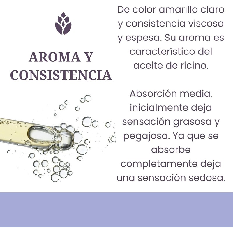 LilaLavanda - Aceite de Ricino 100% Puro Prensado en Frío