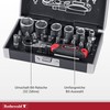 Rothewald Mini Ratchet Set, Inch 26 Pieces, Motorcycle Inch Board