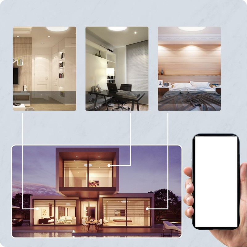 Smart Ceiling Light WiFi 25W Cold and Warm Light RGB