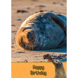 Seal Birthday Card