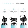 Brewberry Stainless Steel Insulated Water Bottle and Travel Mug for
