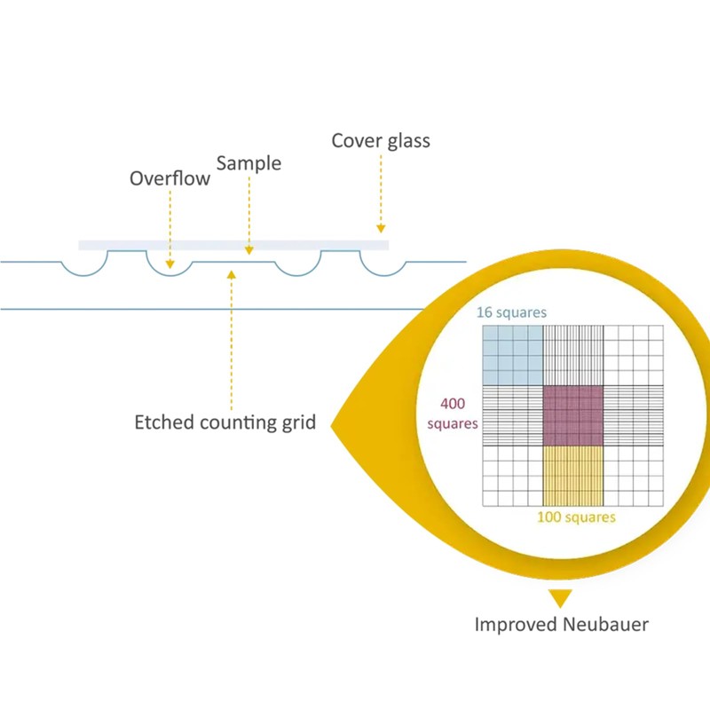 Estresen Cell Counting Chamber Neubauer Improved Hemocytometer for Counting Cells