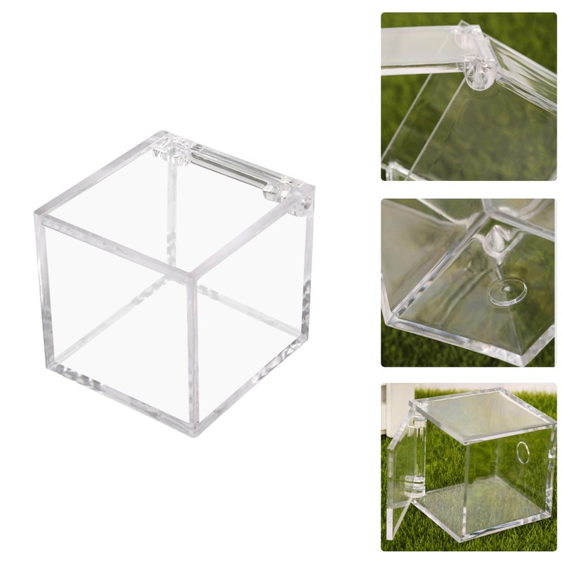 1 PC Golf Ball Display Case, UV Protected Golf Ball