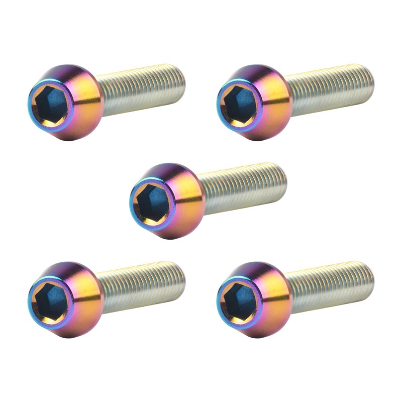 Ruifu M4 x8 15 20mm Titanium Alloy Hex Socket Head