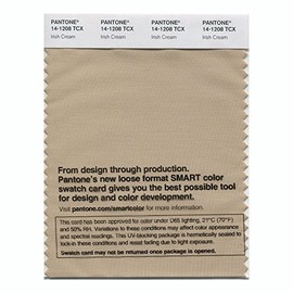 Pantone Smart Swatch 14-1208 Irish Cream